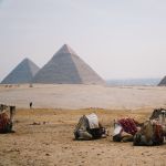 free Giza courses