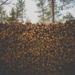 Natural Resources