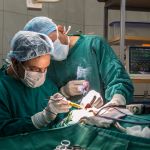 free Surgery courses