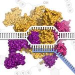 Molecular Biology - Part 2: Transcription and Transposition