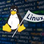 Linux Basics: The Command Line Interface