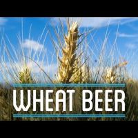 Wheat Beer | How to Brew Everything