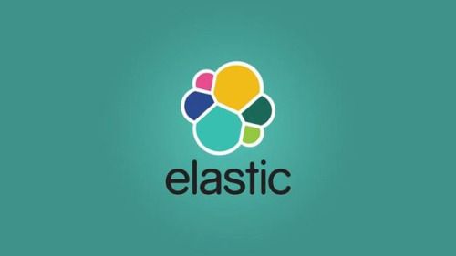 ELASTICSEARCH DEVELOPMENT COMPANY