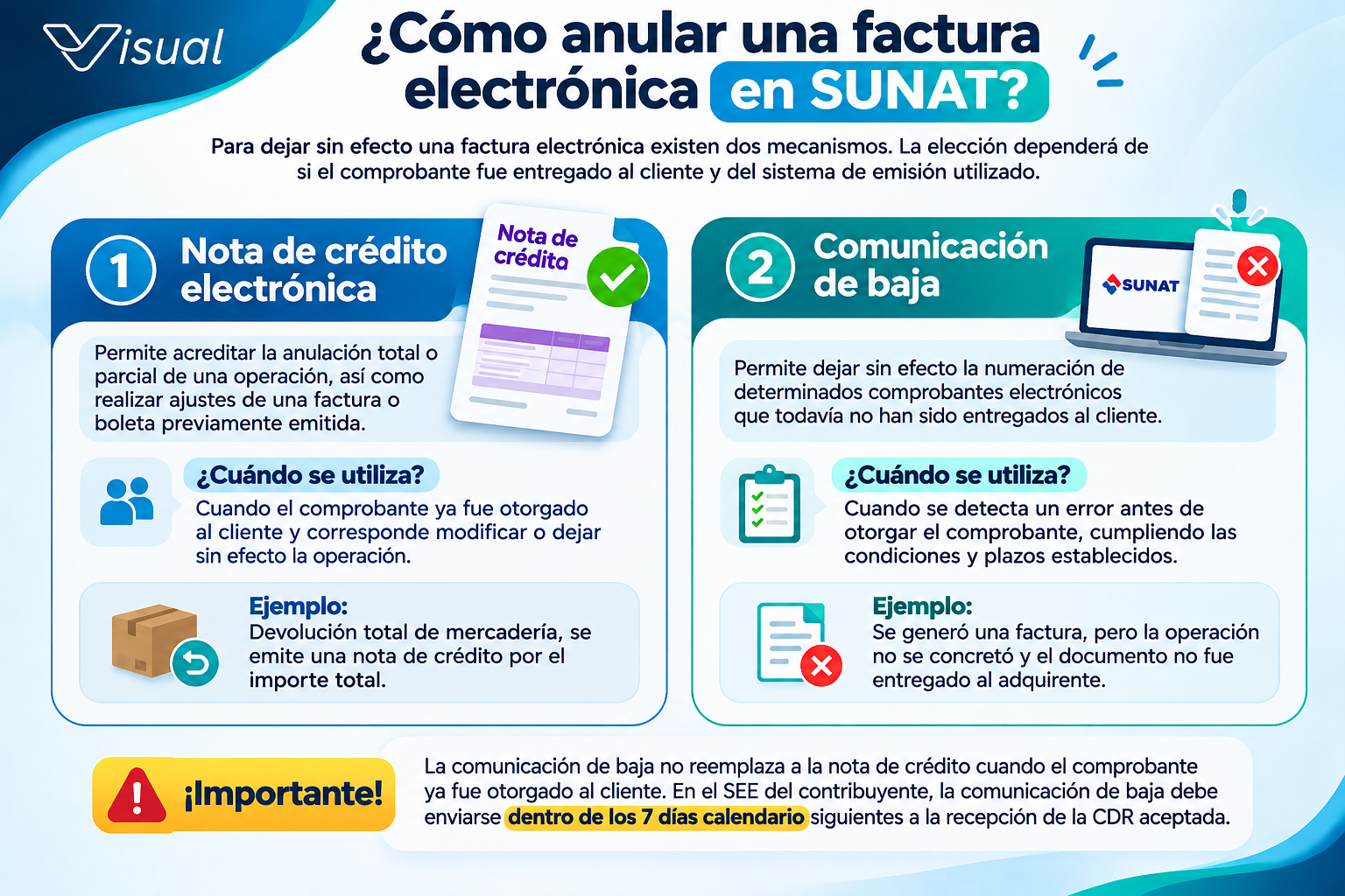 ¿Necesitas anular una factura electrónica? Conoce el procedimiento correcto para hacerlo. - Imagen informativa 1