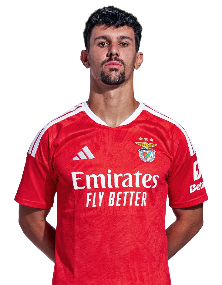 Tomás Araújo