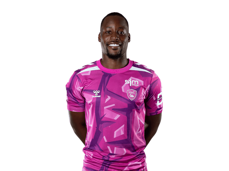 Lionel Mpasi-Nzau