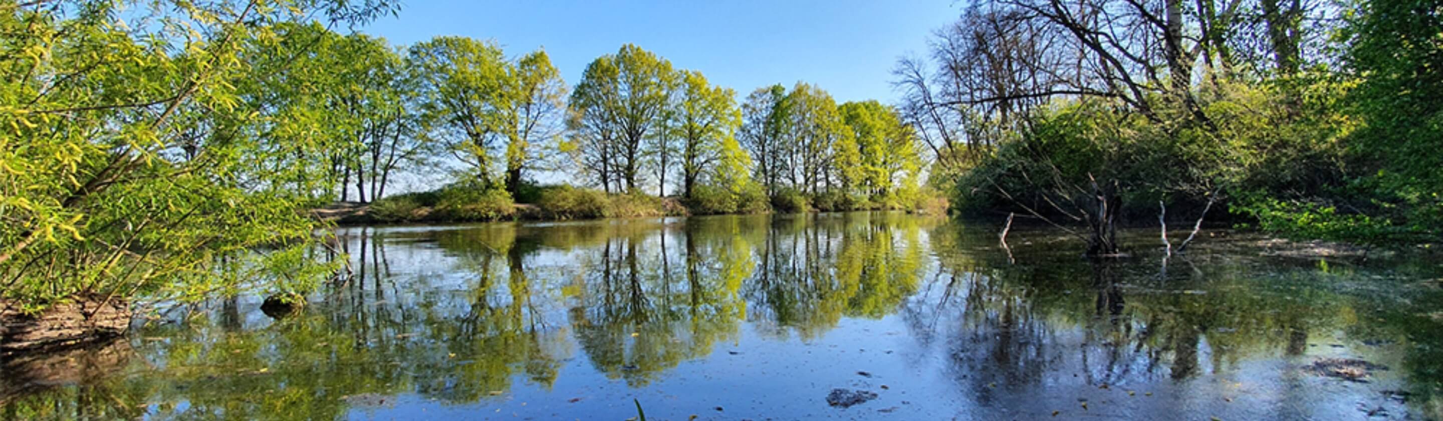 Z Envirograntov podporujeme týchto 9 organizácií