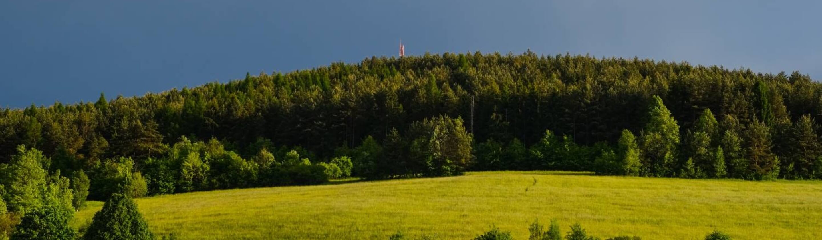 Nápady, ktoré pomáhajú prírode.