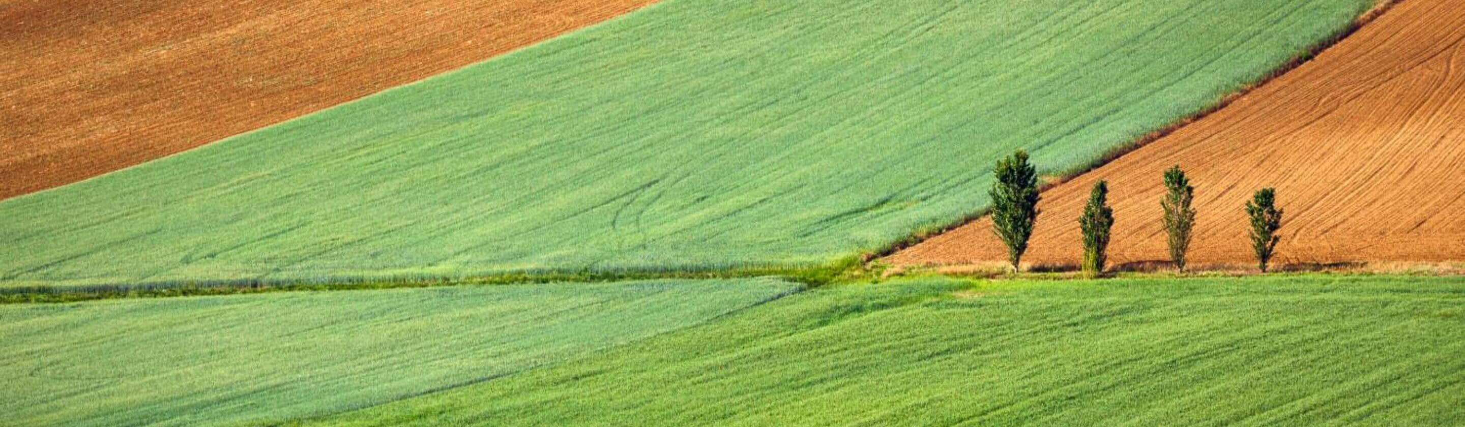 Výsledok cirkulárnej ekonomiky