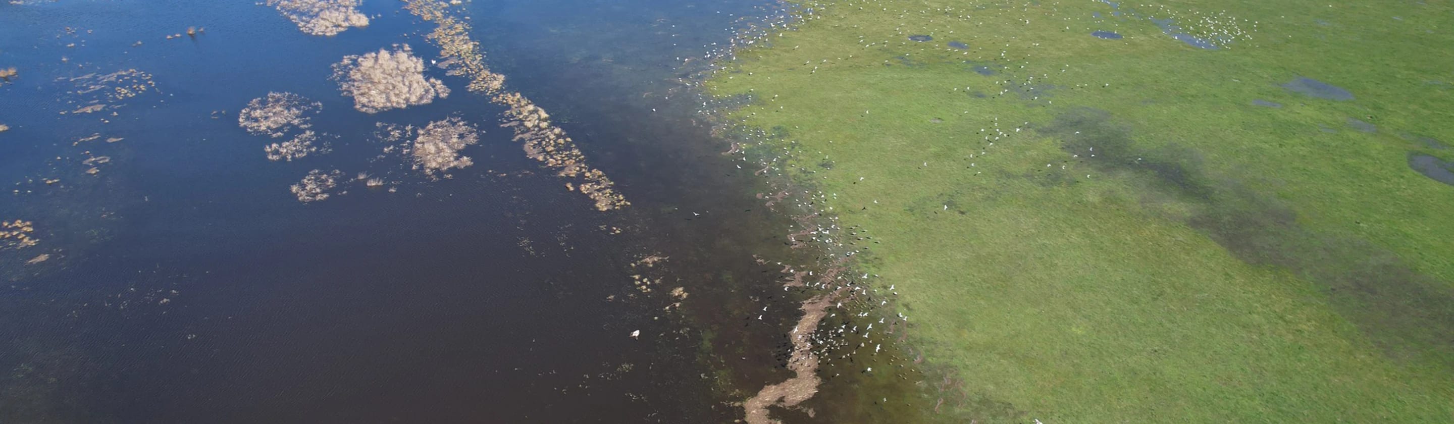 Oceňujeme tých, ktorí namiesto popierania klimatických zmien podopierajú prírodu