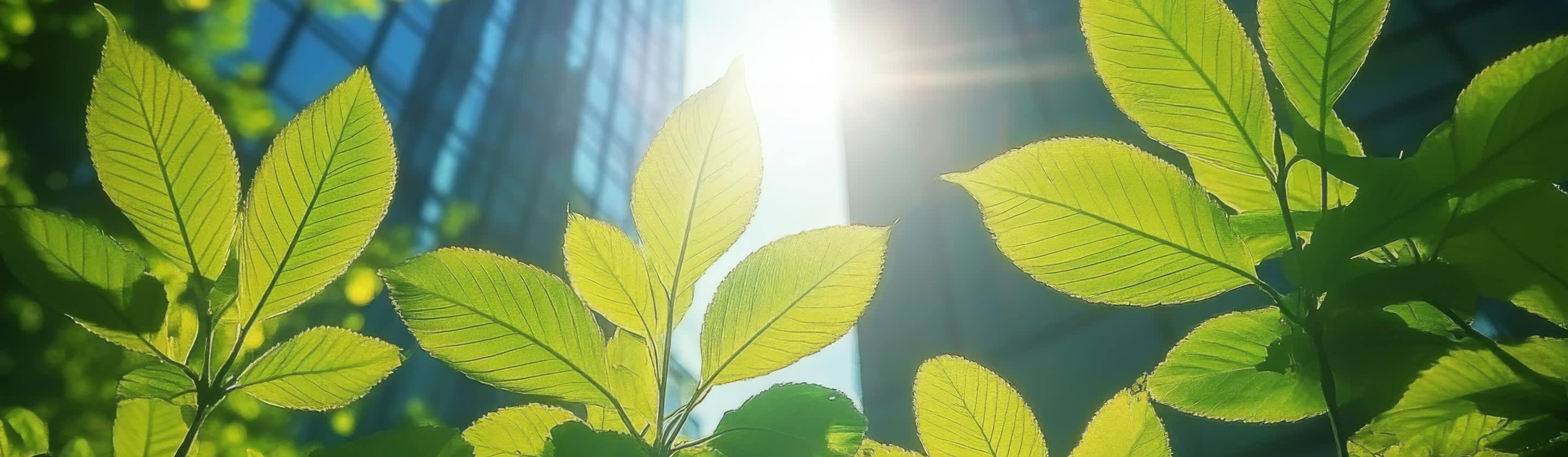 ESG koncept a udržateľné financovanie je tu s nami už pár rokov