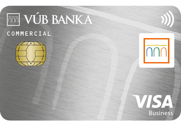 Illustrative image VISA Business