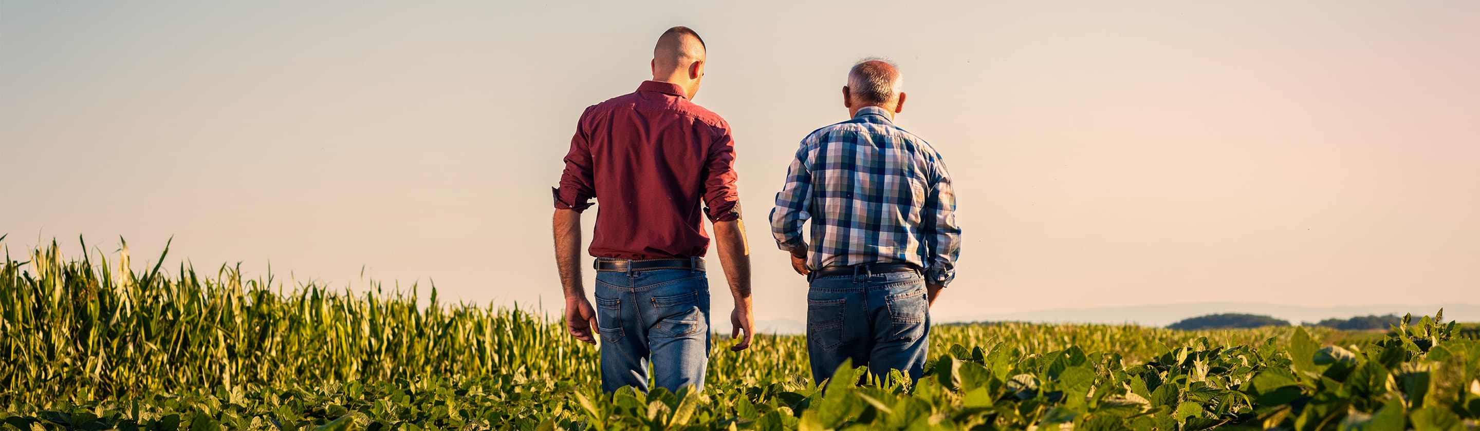 ProfiLoan for Farmers