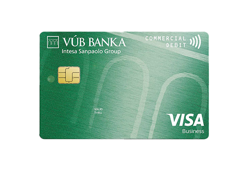 Visa Business Economy