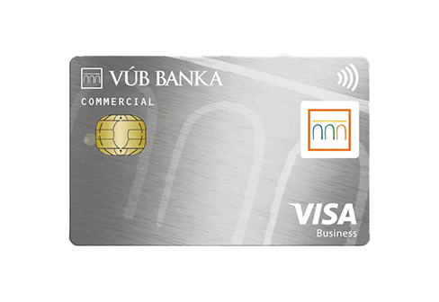 Mastercad Visa silver