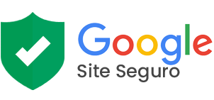 Google SSL Logo