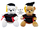 Plush Graduation Bear 14'' - Med - 1/pk 40bx/cs image 2