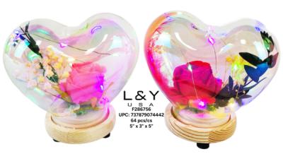 Single Rose Heart Shaped Dome w/ USB - 12/pk 5bx/cs cs.60