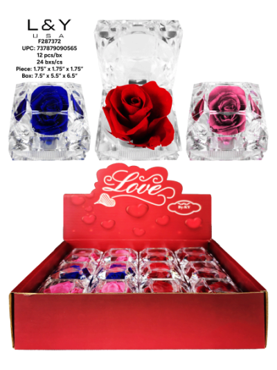 Mini Forever Rose Display Case - 12/pk 24bx/cs cs.288