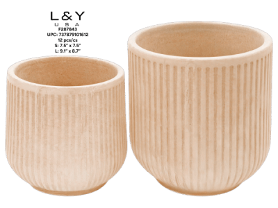 2-in - 1/pk 12bx/cs cs.12