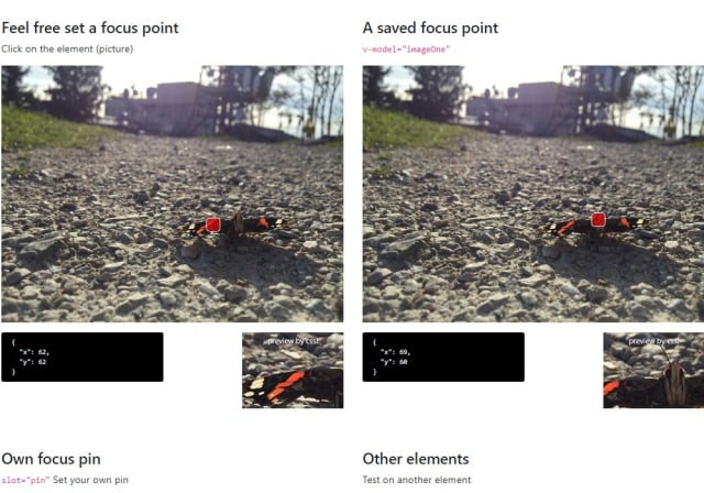 Vue Focuspoint Component