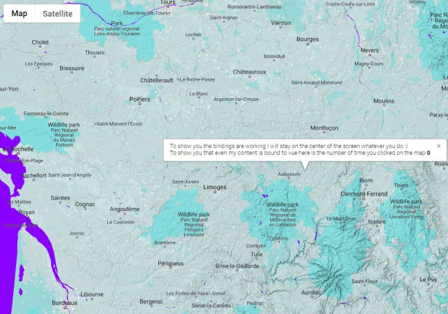 Vue Google Maps