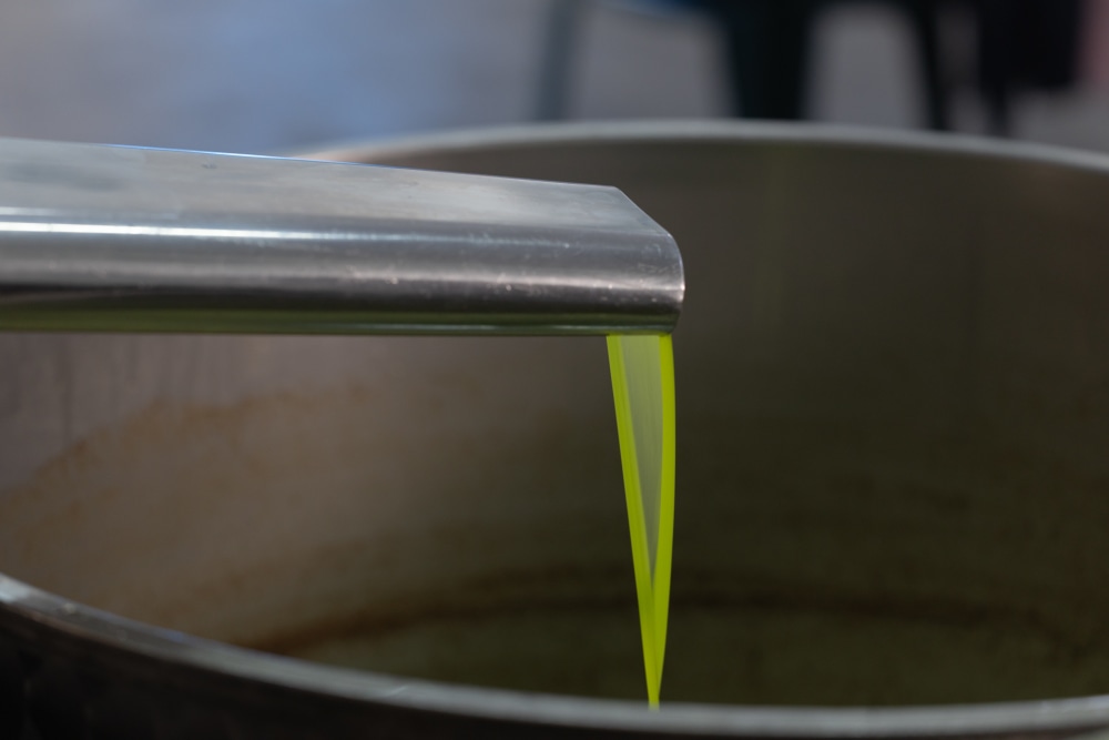 Olio extravergine al frantoio
