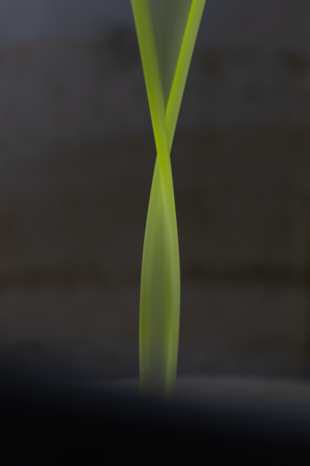 Olio puro