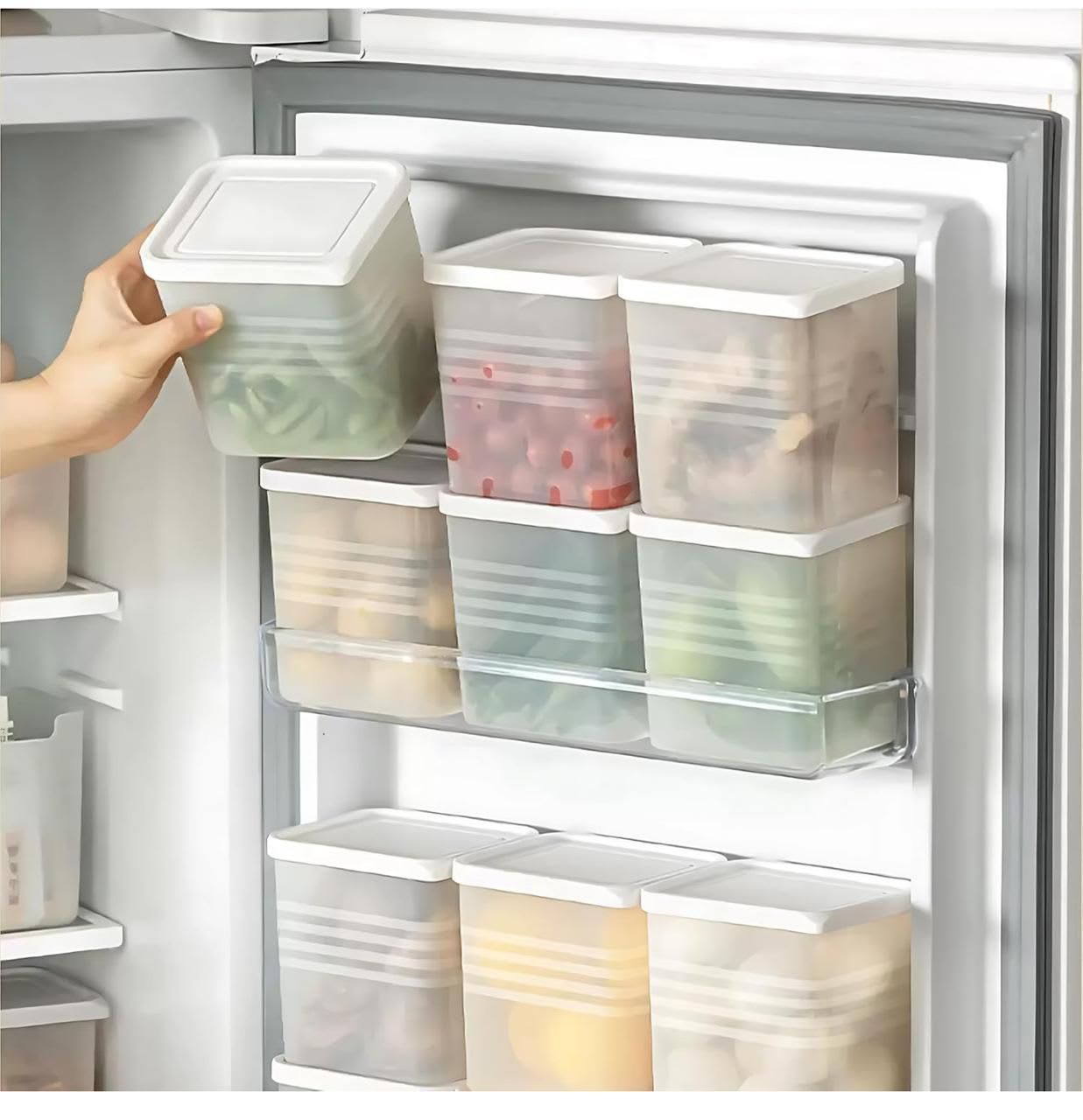 Fridge Container Pack of 6