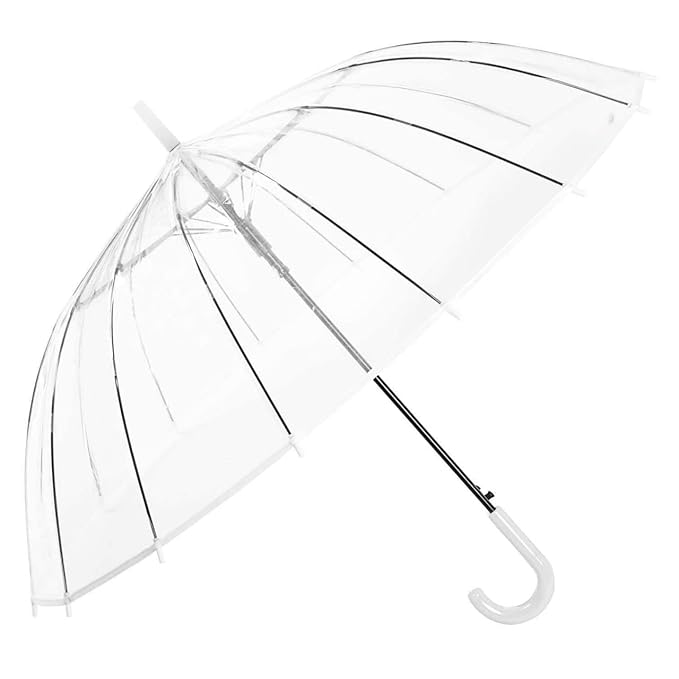 Transparent Umbrella