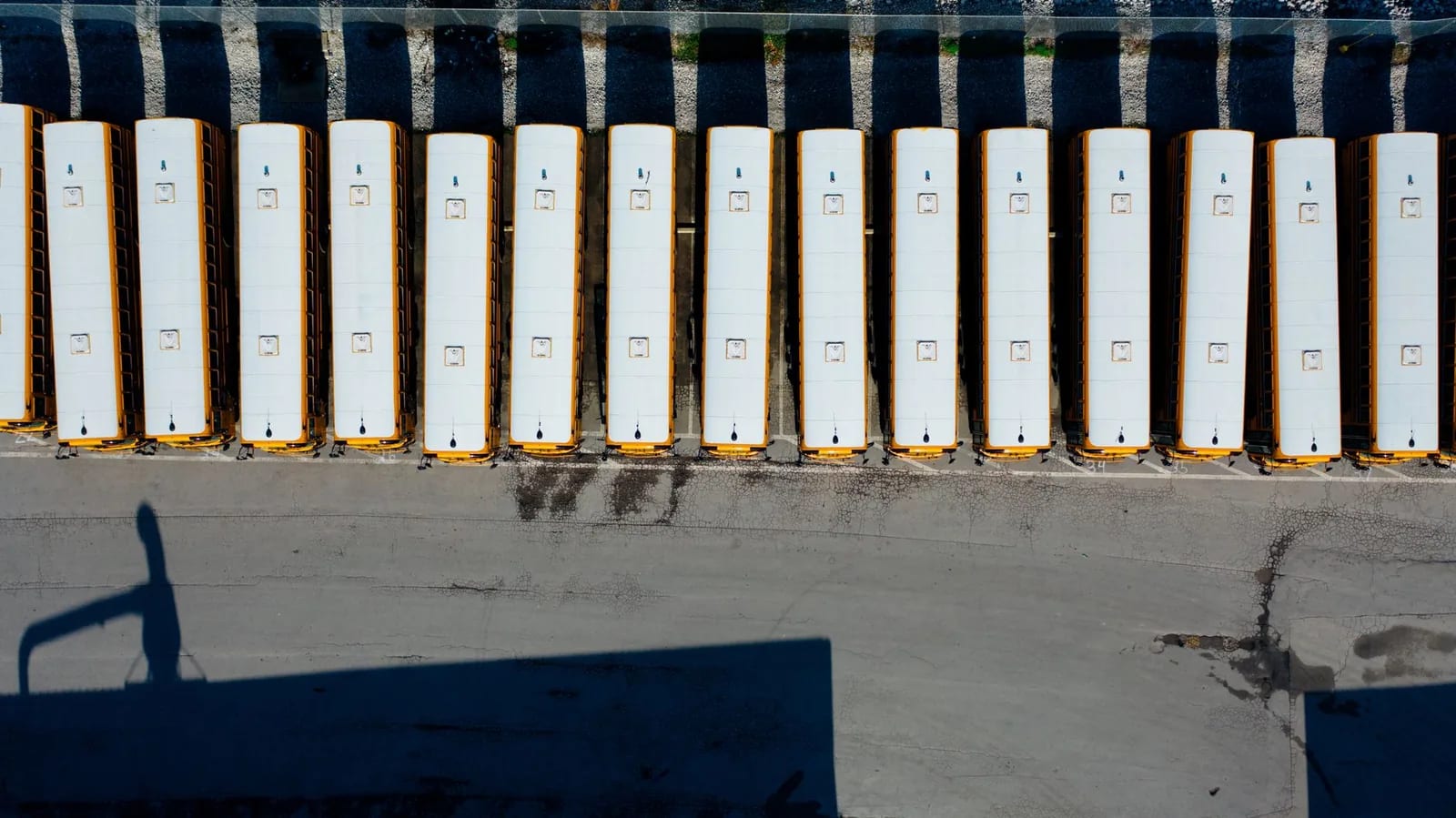 Yellow school buses parked side by side in a long row, seen from directly above