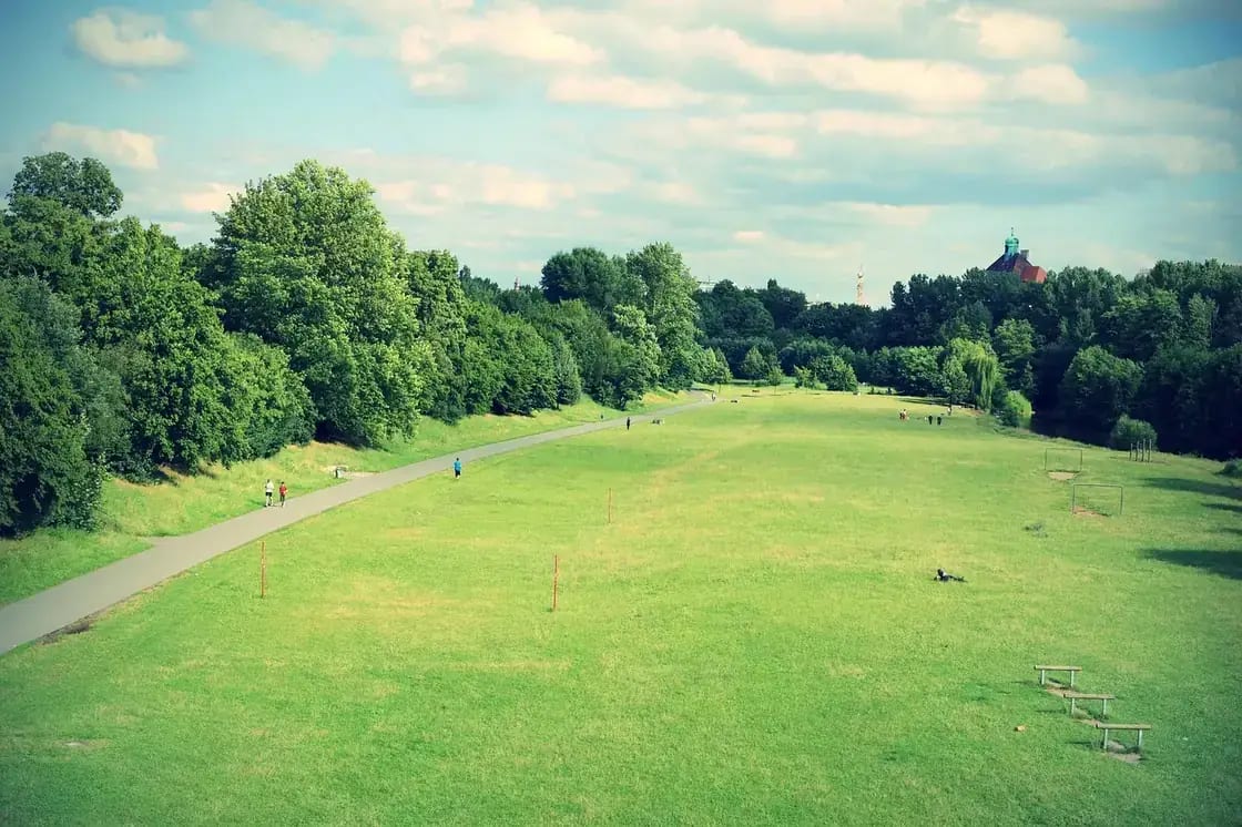 A wide mown lawn edged with mature trees in a public park
