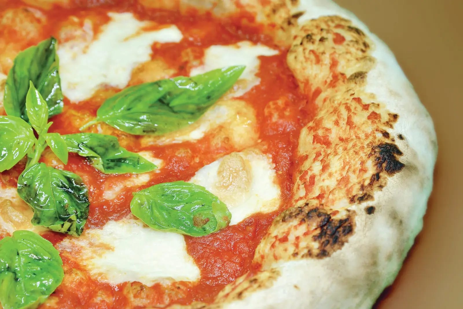 A freshly baked pizza with mozzarella and basil, straight from the oven