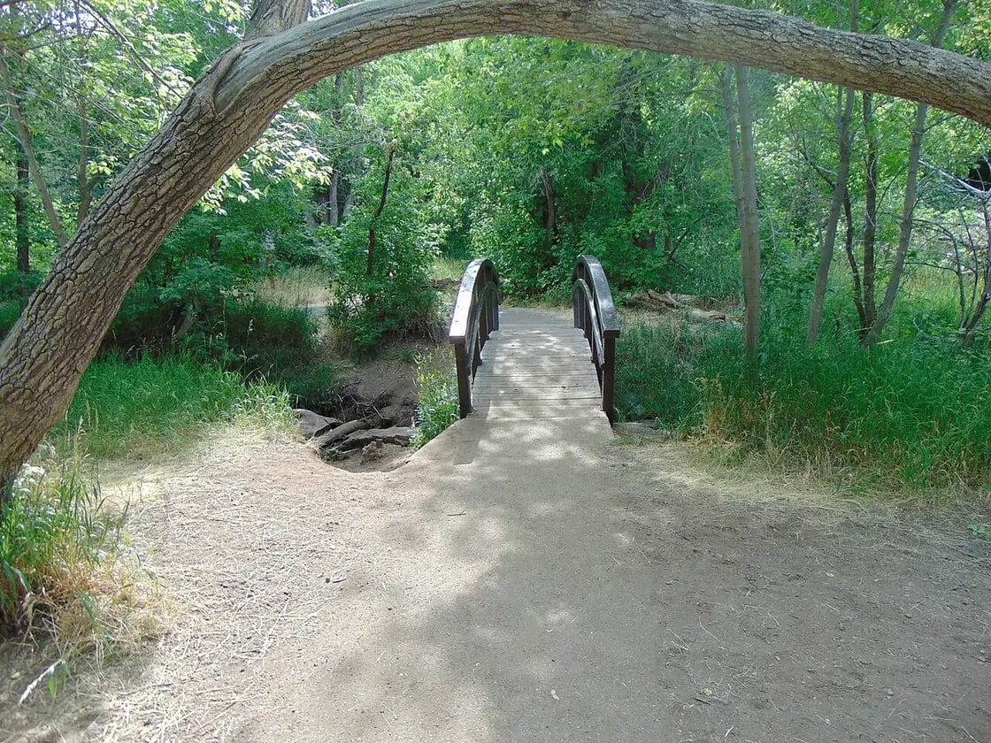 Footbridge over Provo Deer Creek on the Cascade Springs Trail in the Uinta-Wasatch-Cache National Forest, Utah