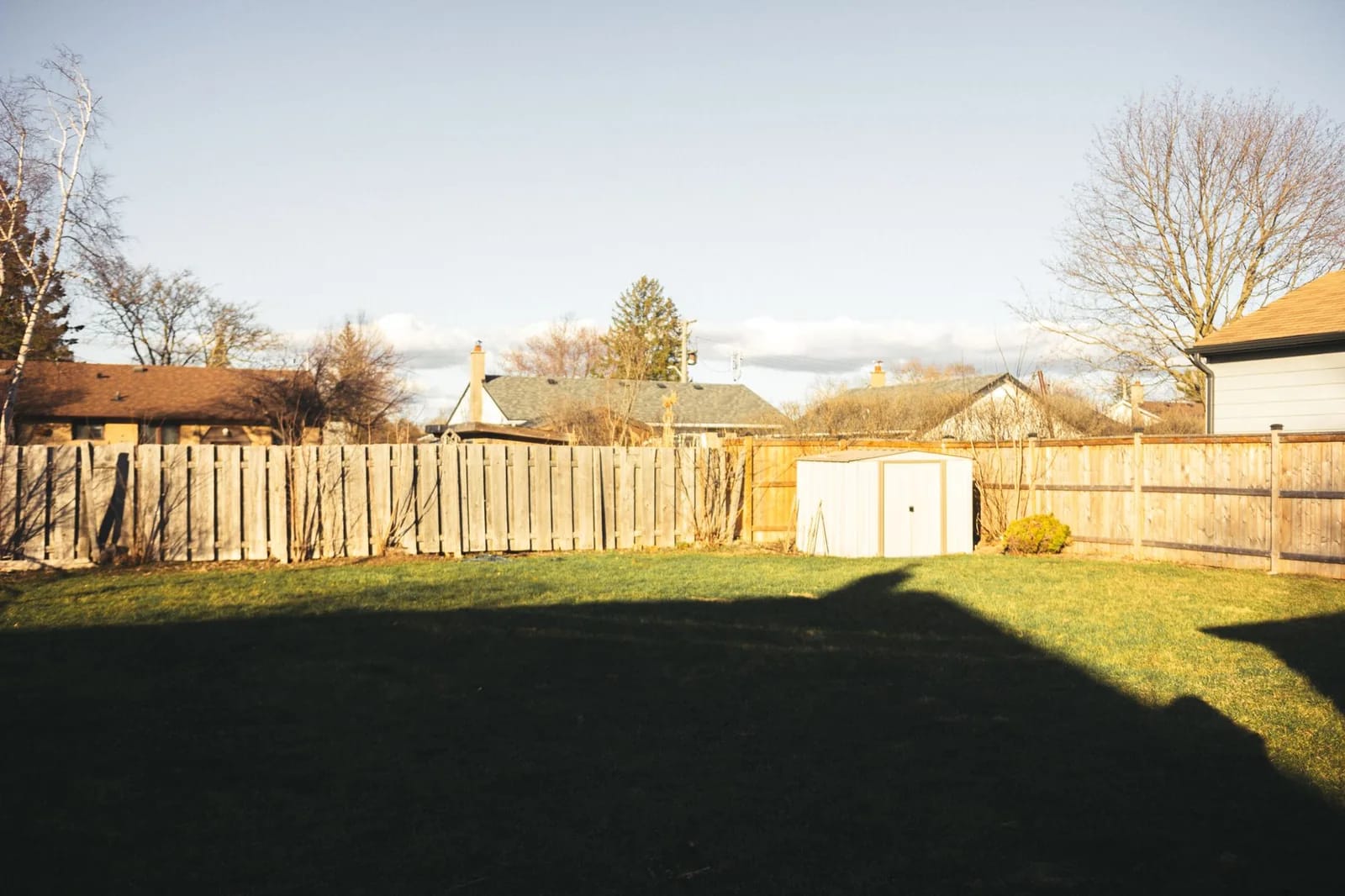 A back lawn enclosed by a wooden fence, with a small metal shed in the far corner