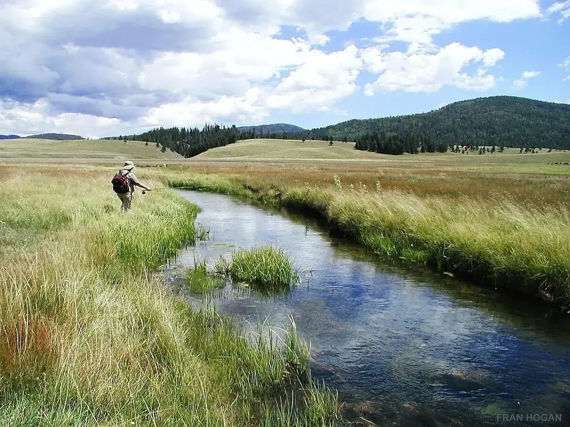 An angler casting into a meadow stream below rolling hills