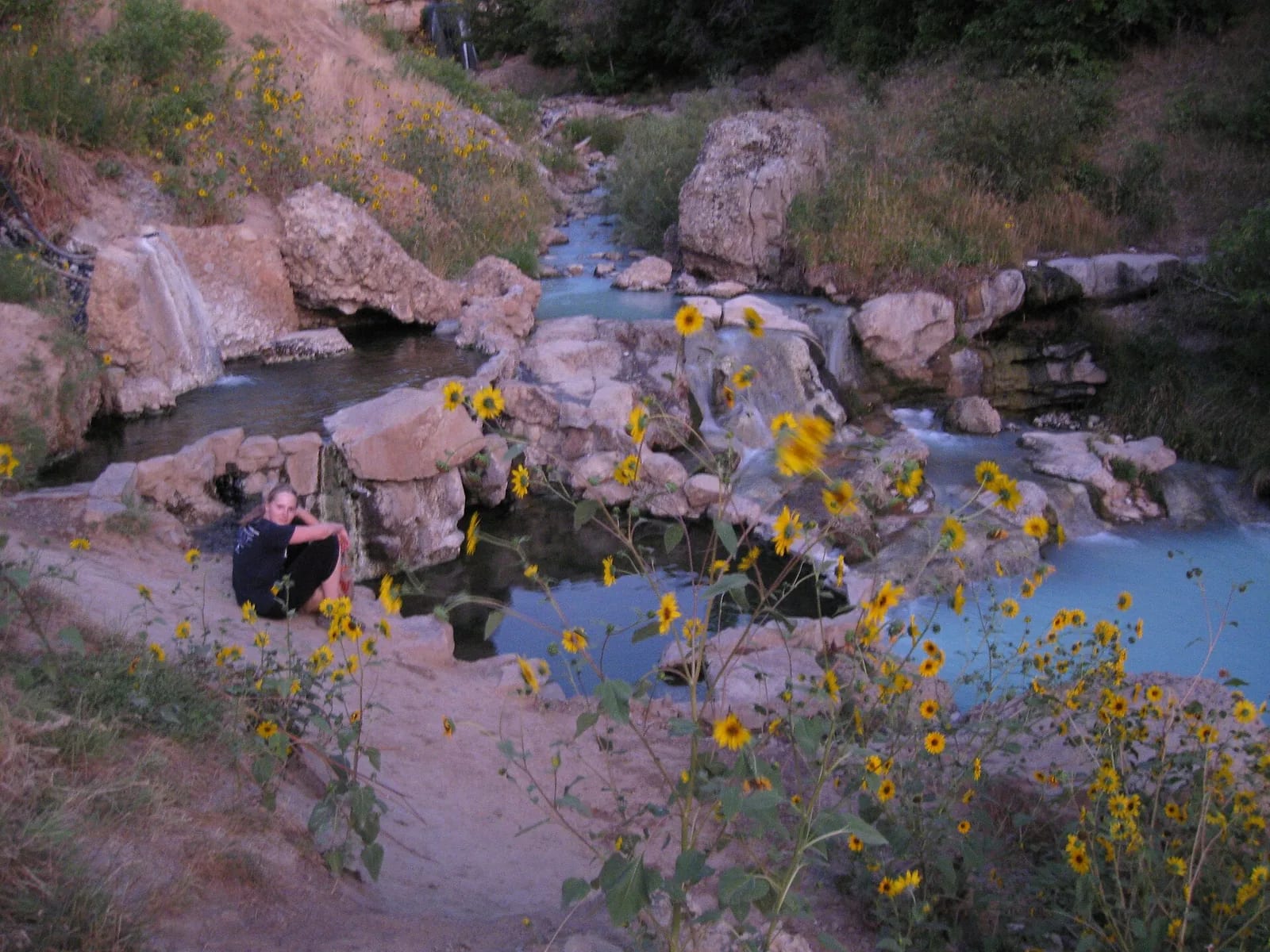 Soakers in the travertine pools at Fifth Water Hot Springs, wildflowers on the bank
