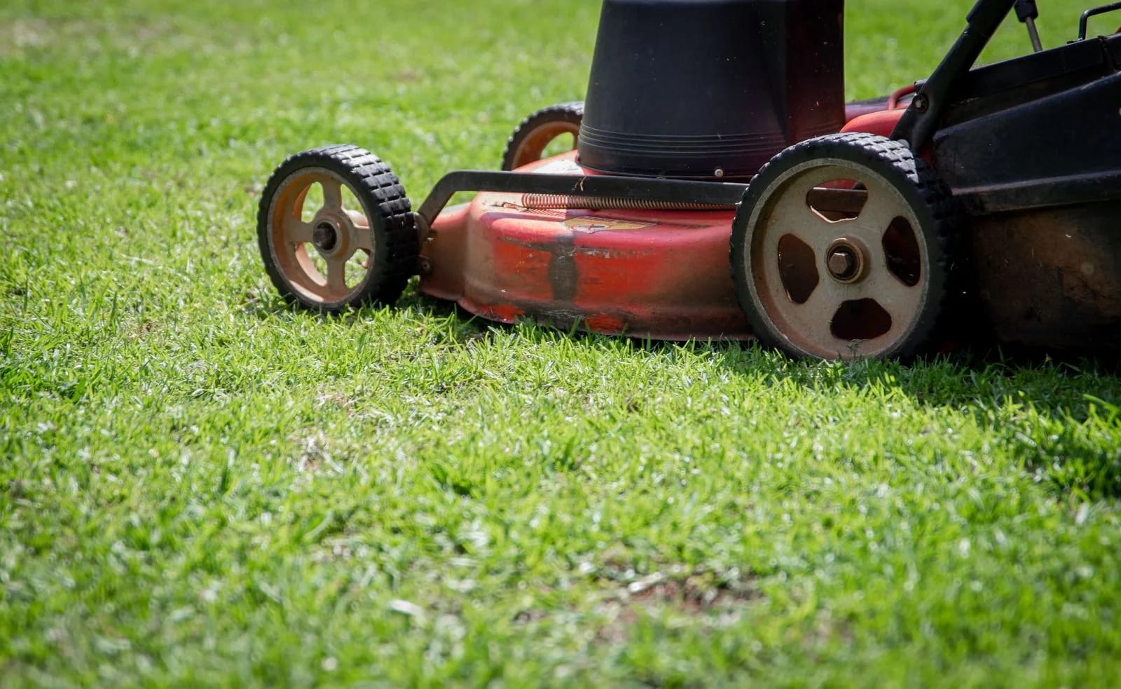 The deck and wheels of a worn red push mower standing on cut green grass