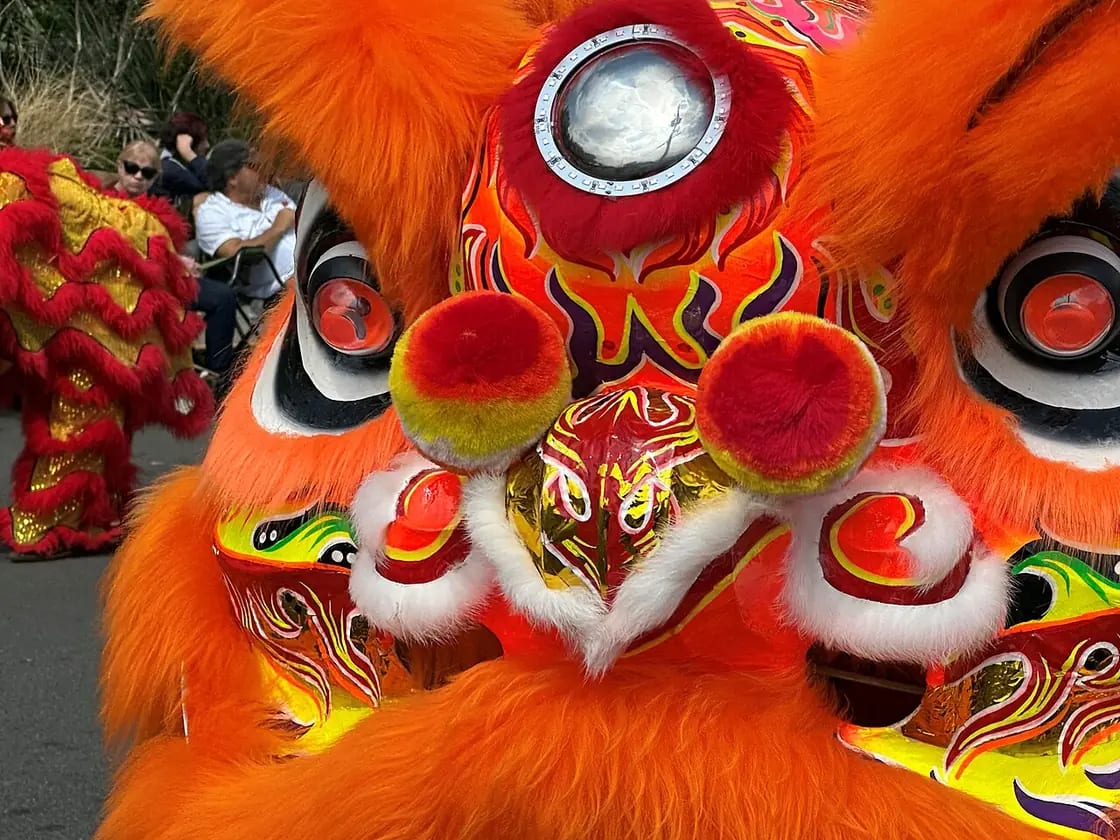 The face of a lion dance costume