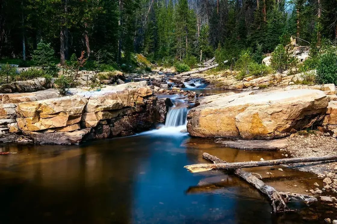 A small waterfall dropping into a clear pool on a forest river