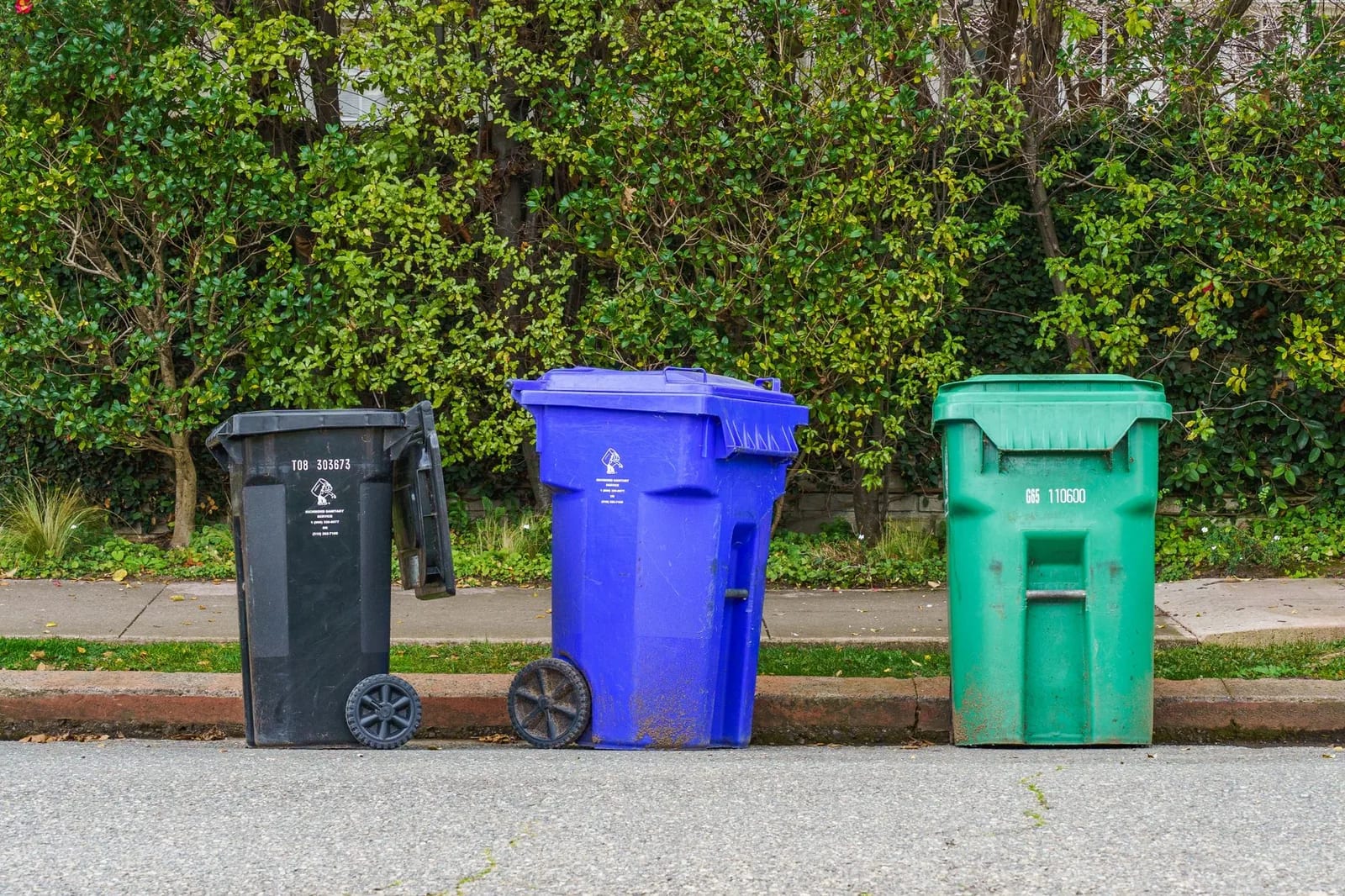 Wheeled residential recycling and garbage bins standing at a curb