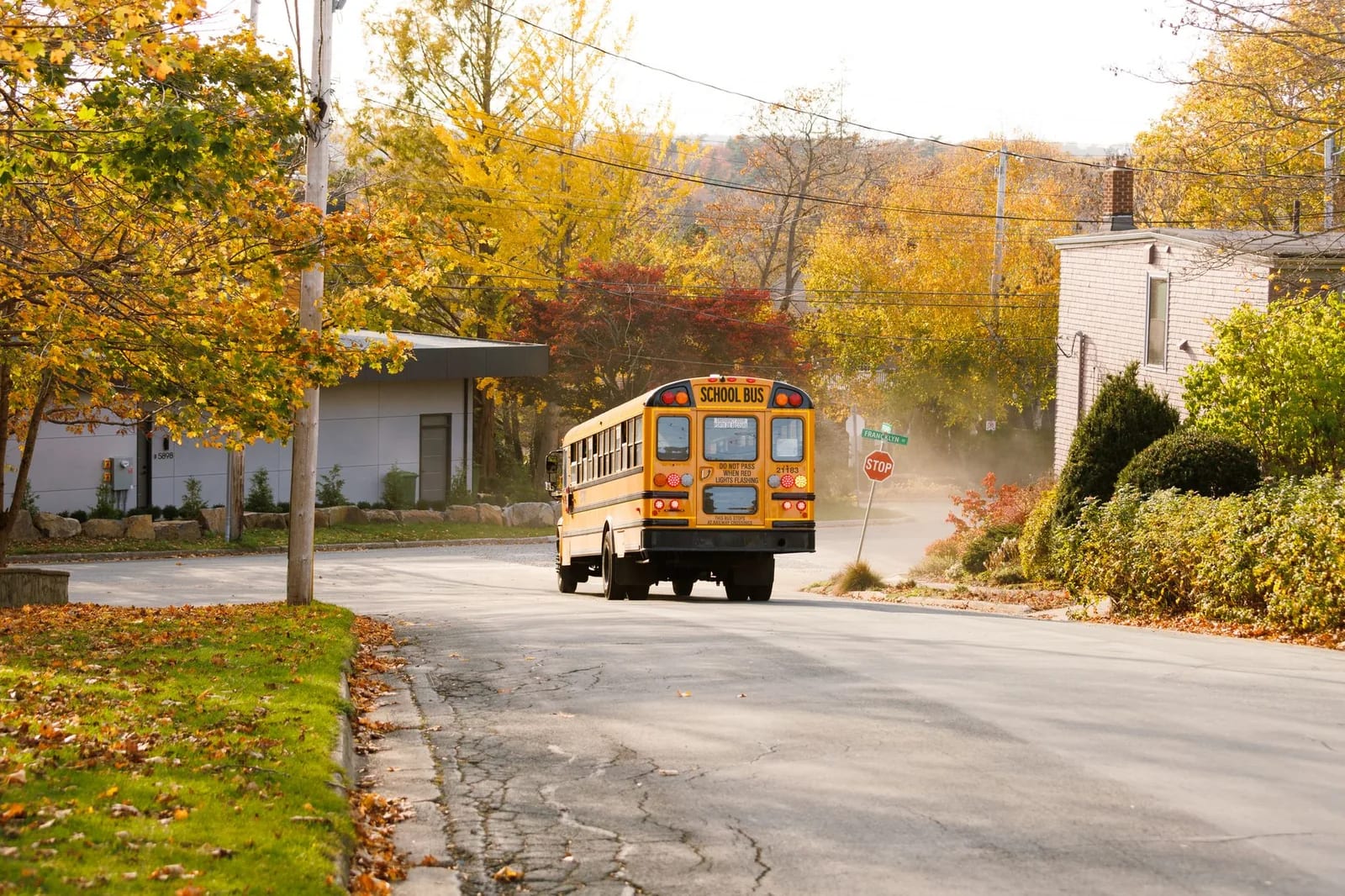 A yellow school bus driving away down a residential street lined with autumn trees