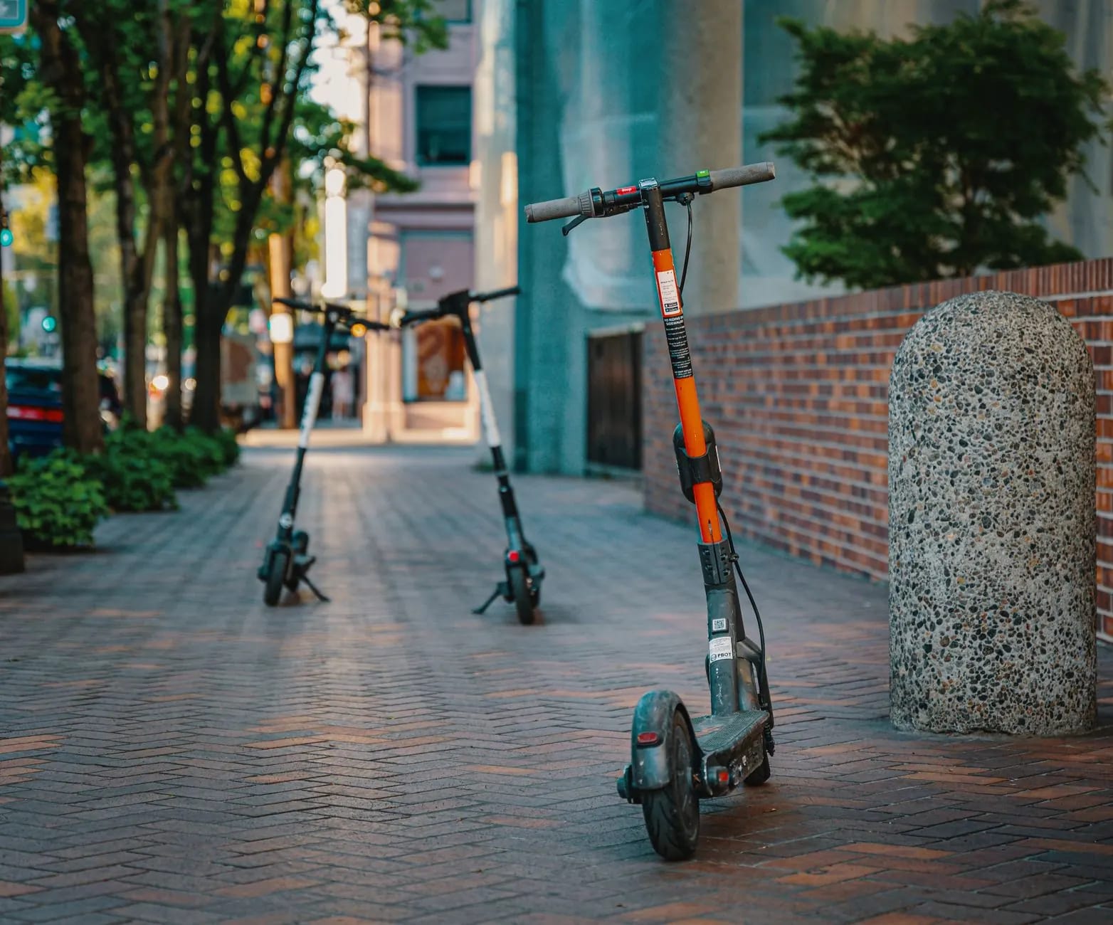 Shared electric scooters parked along a city sidewalk