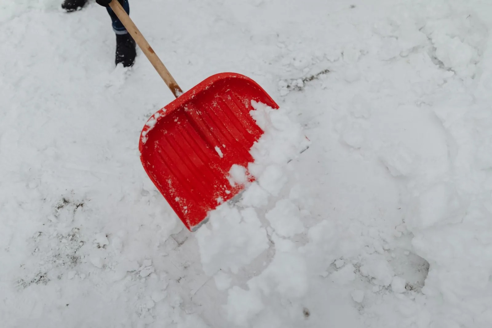 A red-bladed snow shovel standing upright in fresh, unbroken snow