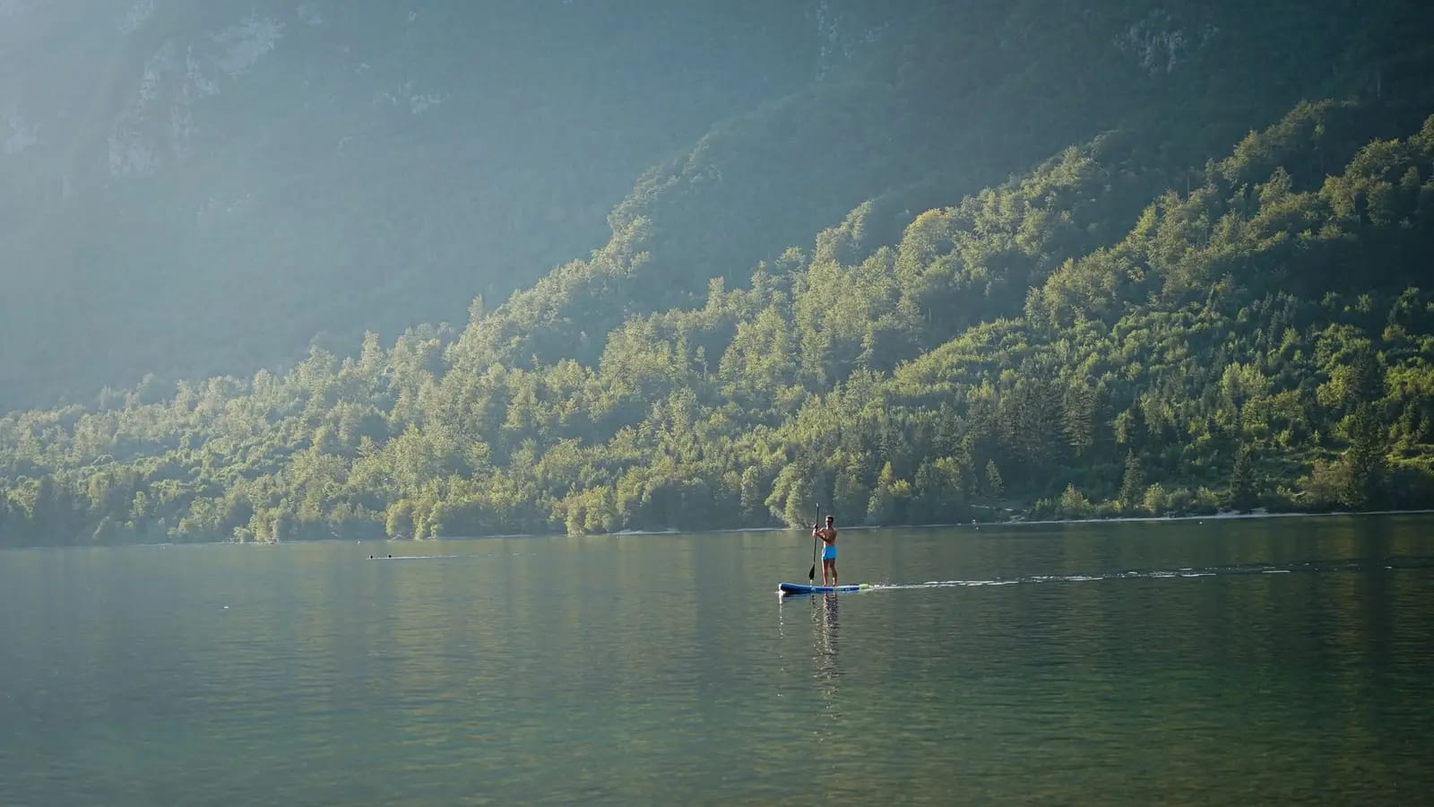 A lone paddleboarder enjoys a tranquil day on a clear mountain lake surrounded by lush forests