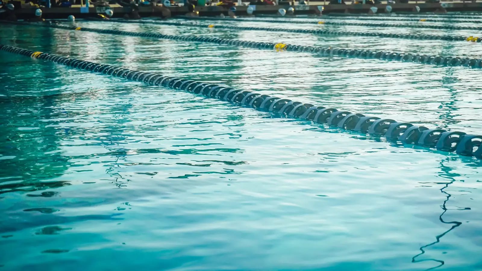 Lane dividers stretching across the rippled blue water of an outdoor swimming pool