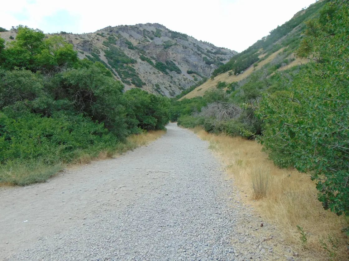 A dirt and gravel trail climbing into the canyon near the Battle Creek Falls trailhead on the eastern edge of Pleasant Grove, Utah, framed by dense green summer growth