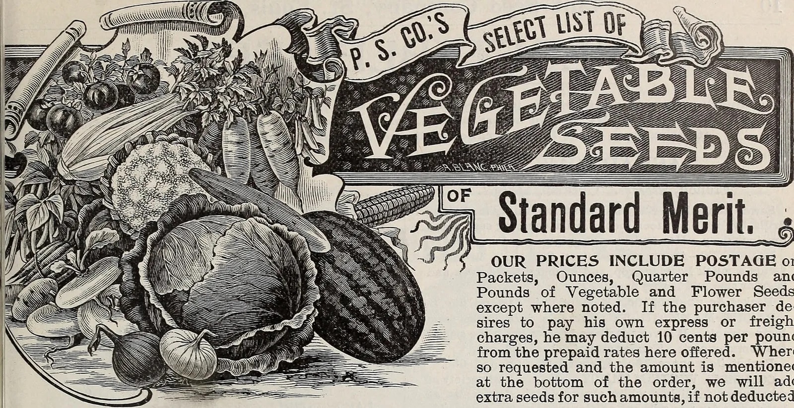A color lithograph seed catalogue cover showing illustrated vegetables and garden produce