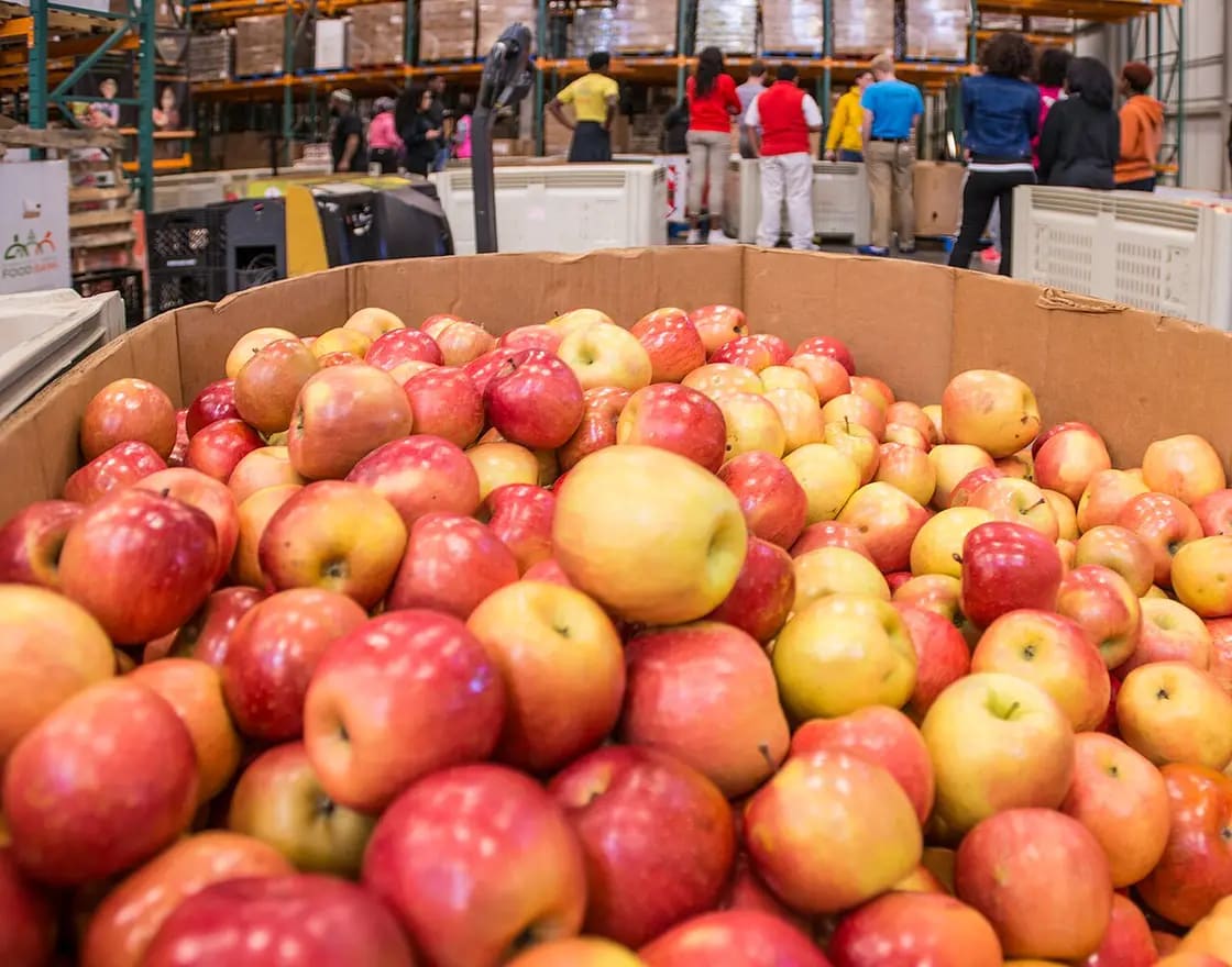 Volunteers sorting donated fresh produce at a community food bank