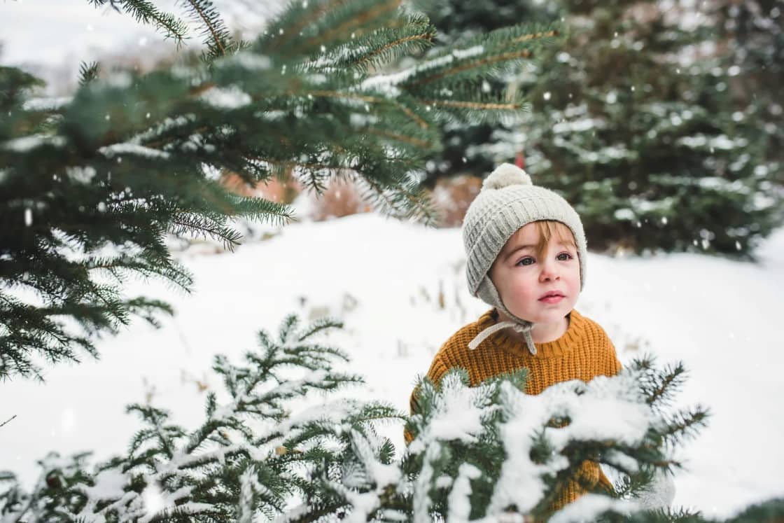 A toddler in a knit cap with ear flaps and a mustard sweater stands among snow-covered pine branches, looking up at falling snow.